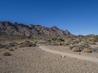 Off-Road Track in Tenerife, Canary Islands