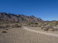 Off-Road Track in Tenerife, Canary Islands