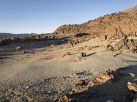 the ground is full of barren rocks and sand, and the mountains behind it are in the distance