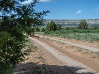 Off-Road Track in Utah: Surrounded by Campgrounds and Nature