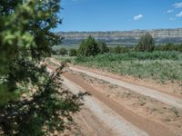 Off-Road Track in Utah: Surrounded by Campgrounds and Nature