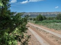 Off-Road Track in Utah: Surrounded by Campgrounds and Nature