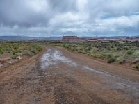 Off-Road Track in Utah's Canyon Landscape