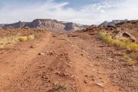 a dirt road through rocky desert in the mountains with green plants on each side of the road