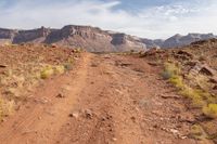 a dirt road through rocky desert in the mountains with green plants on each side of the road