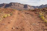 a dirt road through rocky desert in the mountains with green plants on each side of the road