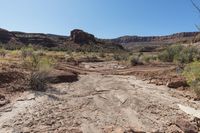 Off-Road Track in Utah's Cedar Mesa