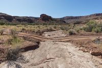 Off-Road Track in Utah's Cedar Mesa