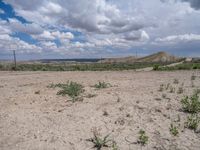 Off-Road Track in Utah's Natural Environment