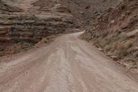 Off-Road Track in Utah's Canyonlands