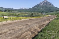 Off-Road Track in Washington Gulch, Crested Butte