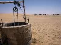 a well is filled with dirt and animals grazing in the background, on a desert plain