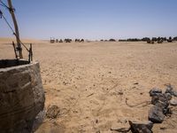 a well is filled with dirt and animals grazing in the background, on a desert plain