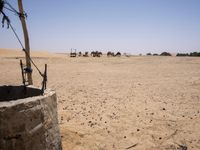 a well is filled with dirt and animals grazing in the background, on a desert plain