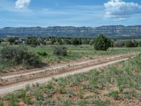 Off-Road Tracks: Exploring Utah's Dirt and Gravel Roads