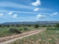 Off-Road Tracks: Exploring Utah's Dirt and Gravel Roads