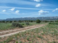 Off-Road Tracks: Exploring Utah's Dirt and Gravel Roads