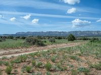 Off-Road Tracks: Exploring Utah's Dirt and Gravel Roads