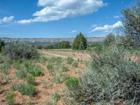 Off-Road Tracks in Utah: Gravel and Dirt Roads to Explore