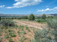 Off-Road Tracks in Utah: Gravel and Dirt Roads to Explore