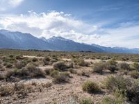 Off-Road Trails in the USA: Alabama Hills