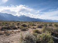 Off-Road Trails in the USA: Alabama Hills