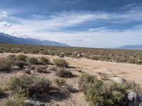Off-Road Trails in the USA: Alabama Hills