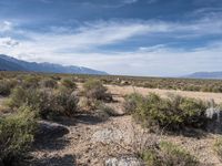 Off-Road Trails in the USA: Alabama Hills