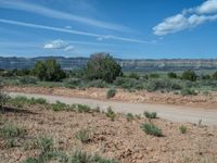 Off-Roading in Utah: Campgrounds and Dirt Gravel Roads