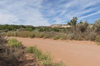 a dirt road through the woods with sparse vegetation and some rocks in the distance on top of the hill