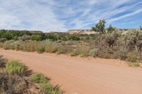 a dirt road through the woods with sparse vegetation and some rocks in the distance on top of the hill