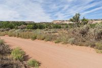 a dirt road through the woods with sparse vegetation and some rocks in the distance on top of the hill