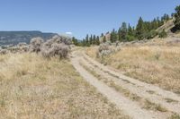 Off-Road Wilderness Adventure in British Columbia