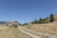 Off-Road Wilderness Adventure in British Columbia 003