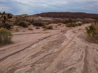 an atv parked in the desert with rocks and bushes to its side near the top