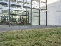 the building has glass walls and a sidewalk with green grass in it outside of it