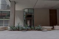 the entrance of an office building with plants growing from the floor and inside of it