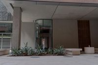 the entrance of an office building with plants growing from the floor and inside of it