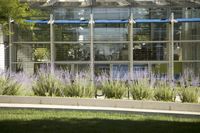 a blue bench and flowers sit in front of an office building with a glassy window