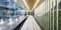 the inside view of an office building with trees and lawn area, benches and fountains