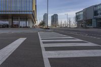 the building has a big number of windows in it that makes a nice contrast to the crosswalk