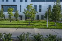 a city street surrounded by grass and tall buildings at the end of a street there is a paved pathway in front of the building