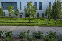 a city street surrounded by grass and tall buildings at the end of a street there is a paved pathway in front of the building