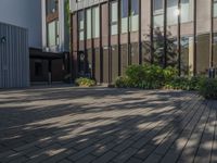 a sidewalk with some plants near a building in the day time with sunshine casting on it