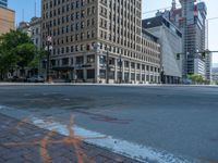 the green paint is painted on a bike path in front of an office building and large, trees