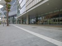 a walkway has been made into an open area near large buildings and a palm tree