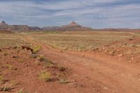 the dirt road is marked with red paint and dirt road signs have written across it