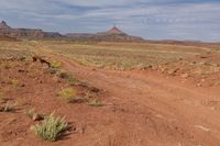 the dirt road is marked with red paint and dirt road signs have written across it