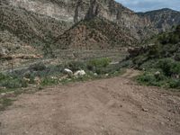 Scenic Off-Road Track in Utah: Mountain Landscape