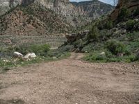 Scenic Off-Road Track in Utah: Mountain Landscape